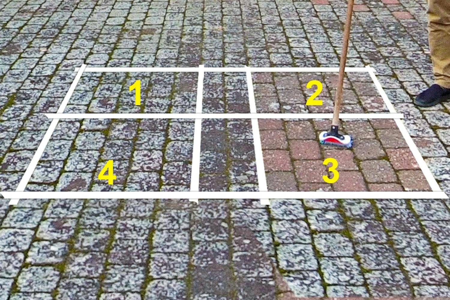 Flisepest: Halvandet år senere Kampen mod flisepest: Halvandet år senere